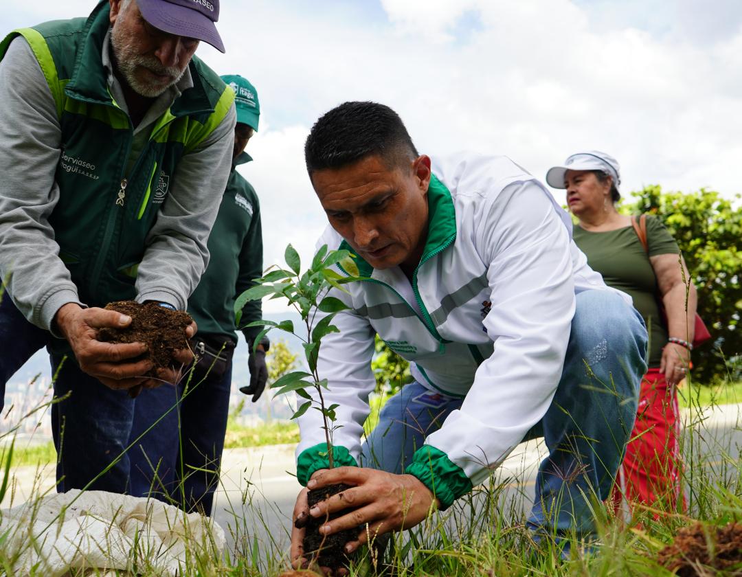 El delegado para los Derechos  Colectivos y del Ambiente siembra un árbol en el Día Mundial del Medio Ambiente como parte de la jornada 